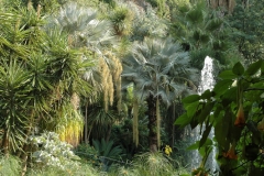 Sir William Walton's garden Ischia 5