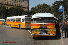 The Buses of Malta