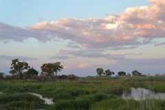 Okavango Scenery
