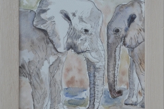 Etosha Elephants