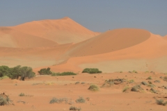 Sossusvlie - The Namibian Desert