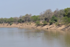 South Luangwa River
