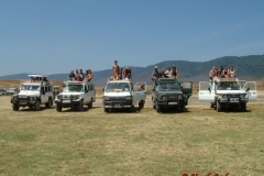 81613 Ngorongoro Safari lineup