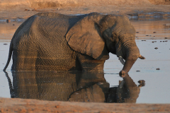 Hwange-11