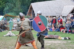 Vikings-2009 (7)