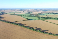 Balloon08-08_24