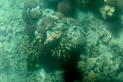 Aqaba_10