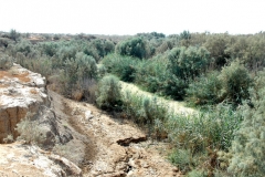 Bethany_4