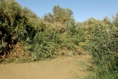 Bethany_5