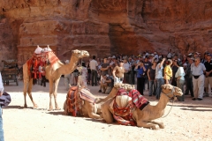 Petra_9