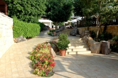 DeadSea_6