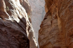 TheSiq_10