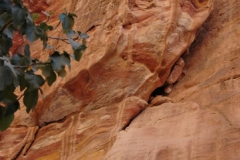 TheSiq_13