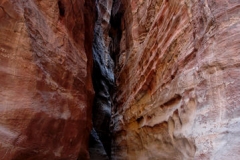 TheSiq_15