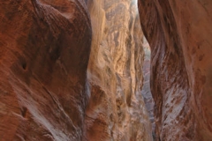 TheSiq_33