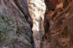 TheSiq_34
