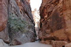TheSiq_35