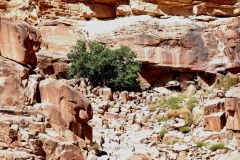 WadiRum_3