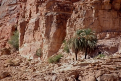 WadiRum_4