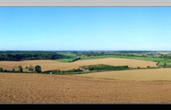 Ballooon0808_3