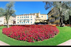 Flowers in Riva