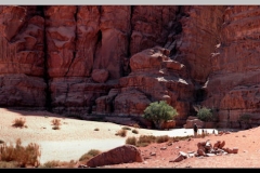 WadiRum3