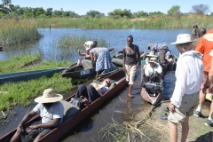 Okavango - Loading the Mokoros