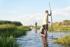 Okavango - Poling Through the Pathways
