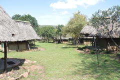 Maasai Mara - Acacia Camp