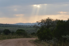 Maasai Mara Scenery