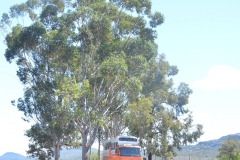 Clamwilliam - Lunch Stop