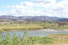 Orange River by the Noordoewer Camp Site