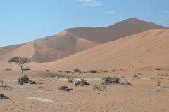 Sossusvlie Landscape