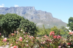 Table Mountain from the Company Gardens
