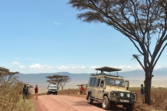 Ngorongoro