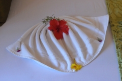 Zanzibar - Amaan Bungalows Beach Resort at Nungwi