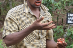 Zanzibar - Demonstrating the Properties of a Red Fruit