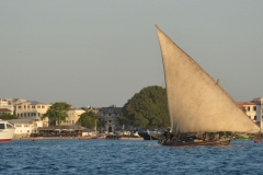 Zanzibar Harbour