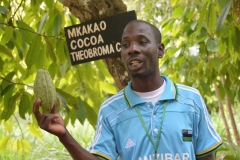 Zanzibar - Our Guide Showing a Cocoa Bean
