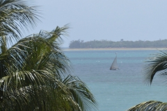 Zanzibar View
