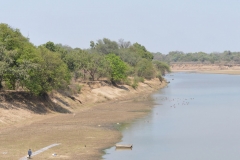 South Luangwa 28