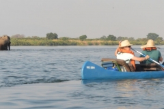 Zambezi - Canoeing Past Elephants
