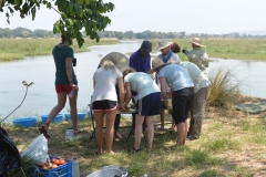 Zambezi - Lunch Stop
