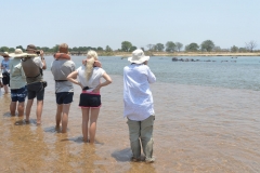 Zambezi - Padelling While Watching the Hippo
