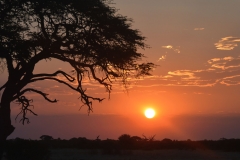Hwange - Sunset