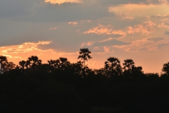 Victoria Falls - Booze Cruise Sunset