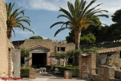 Herculanium House of the Deers