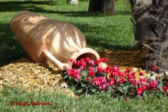 Sorrento Flower Display