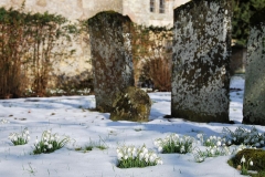 StMary-4-d