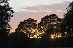 St-Marys-HOD-2010-15